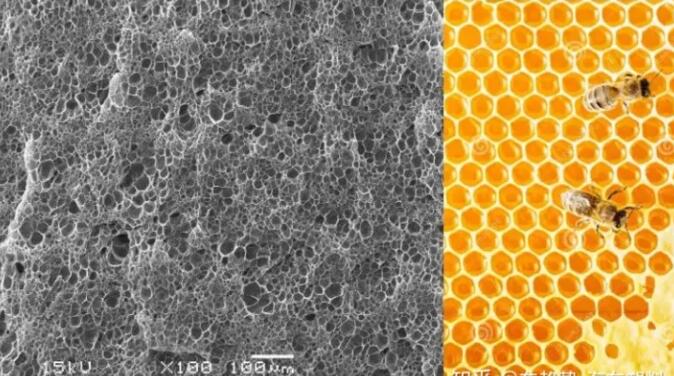epp發(fā)泡聚丙烯的顯微結(jié)構(gòu)，可以看到這是種連續(xù)閉孔結(jié)構(gòu)，類似于蜂窩